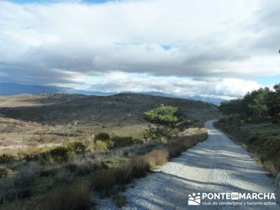 paseos sierra madrid;caminatas sierra madrid;rutas senderismo madrid señalizadas